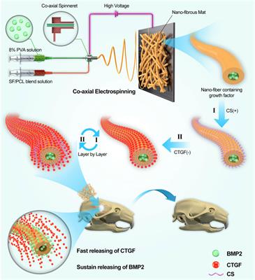 Engineered biomimetic micro/nano-materials for tissue regeneration